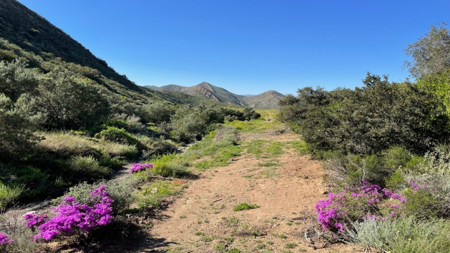 Commercial Property for Sale in Montagu Rural Western Cape